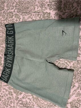 Gymshark Teal/Aqua Green Athletic Shorts